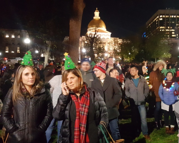 People dressed up at Boston Christmas Tree Lighting 2016